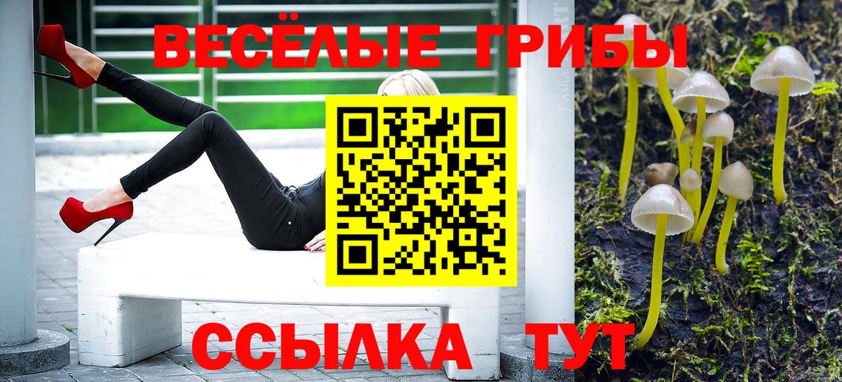 Псилоцибиновые грибы Psilocybine cubensis Реутов