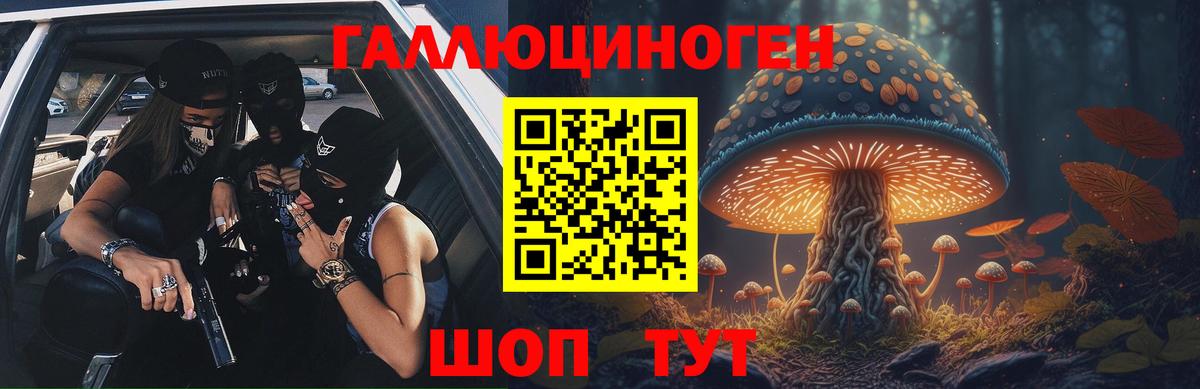 Реутов  Галлюциногенные грибы GOLDEN TEACHER  Псилоцибиновые грибы мицелий  магазин продажи   Вход с VPN 
